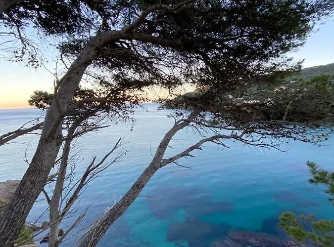 Casa Y Loft Minimalista, Jardin Y Parking Privado Villa Gerona