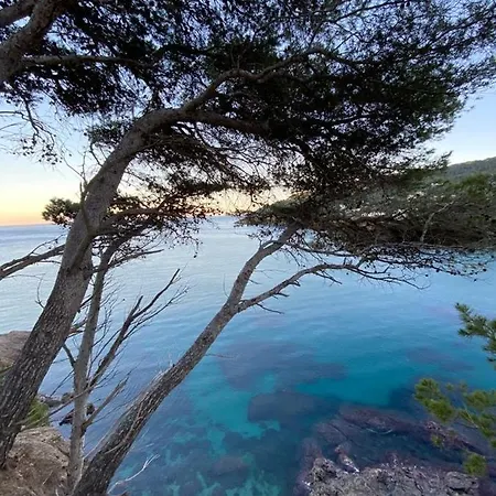 Casa Y Loft Minimalista, Jardin Y Parking Privado Villa Girona