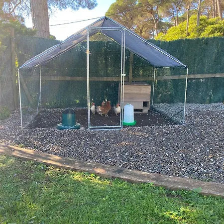 Βίλα Casa Y Loft Minimalista, Jardin Y Parking Privado