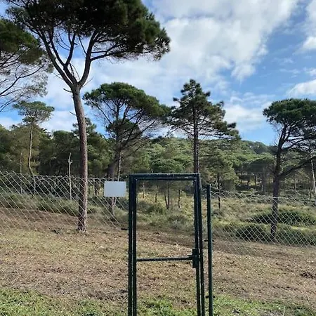 Villa Casa Y Loft Minimalista, Jardin Y Parking Privado Girona